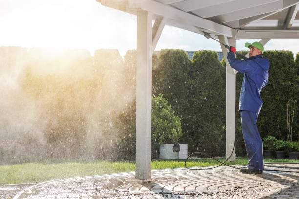 Best Animal Enclosure Cleaning  in Coalgate, OK